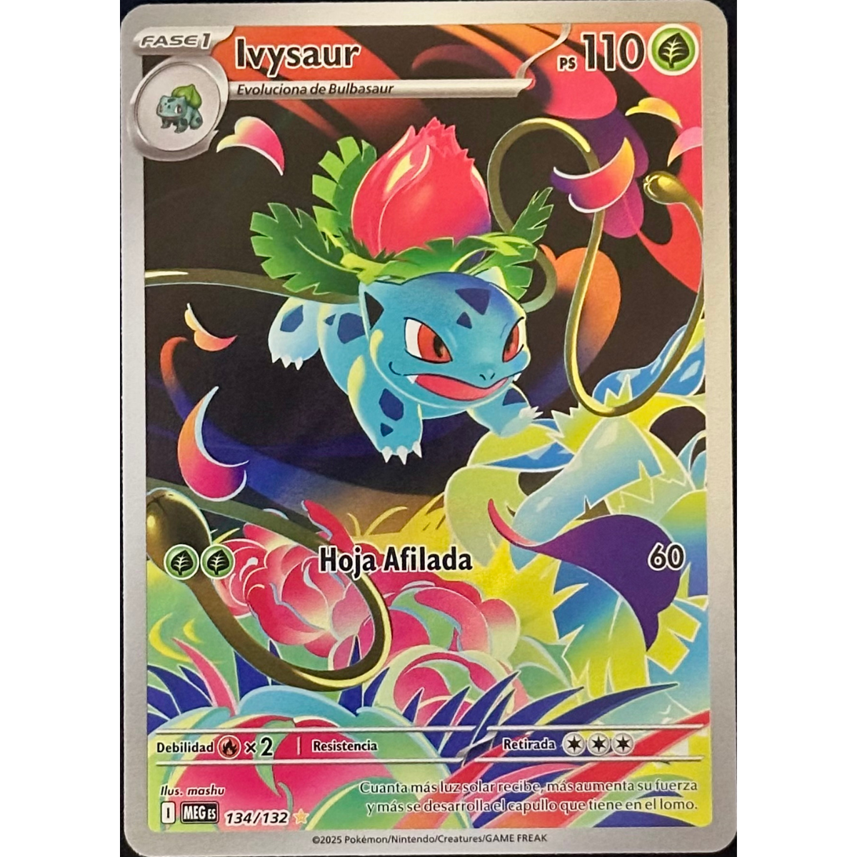 Ivysaur | Español